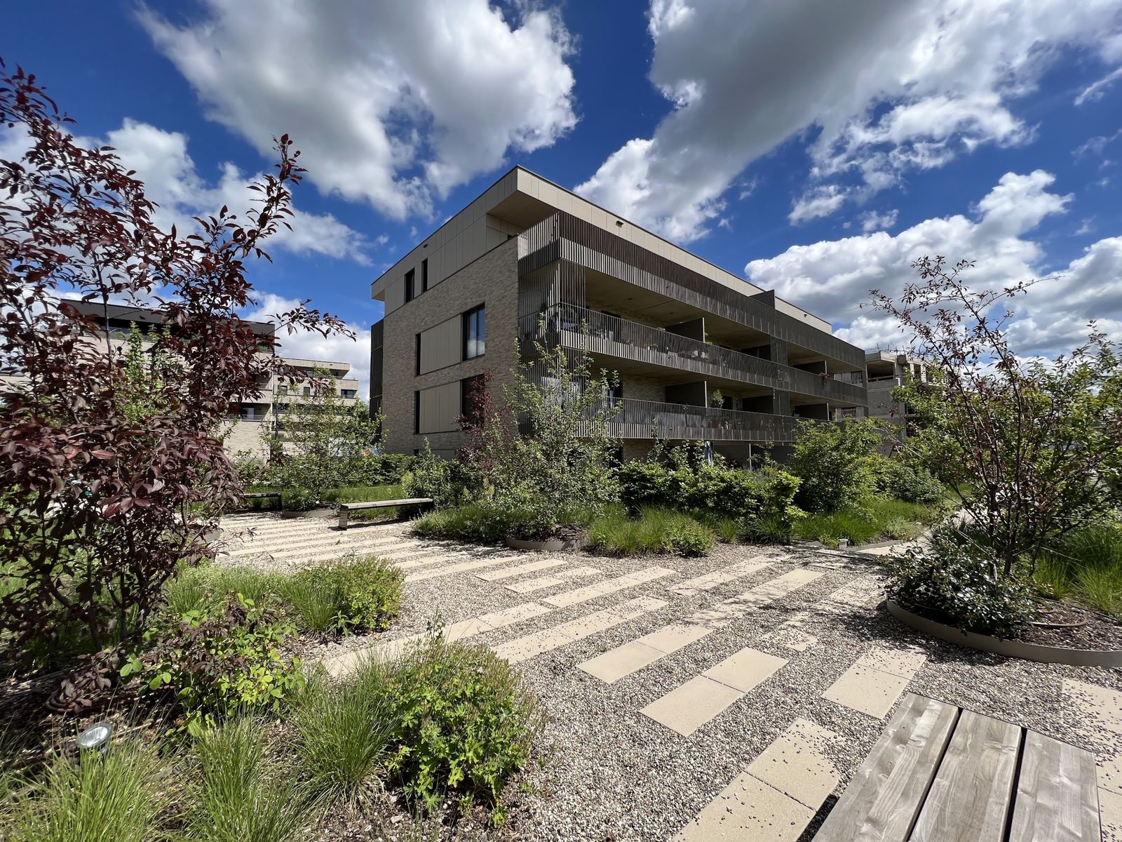 Planted garden path between the buildings