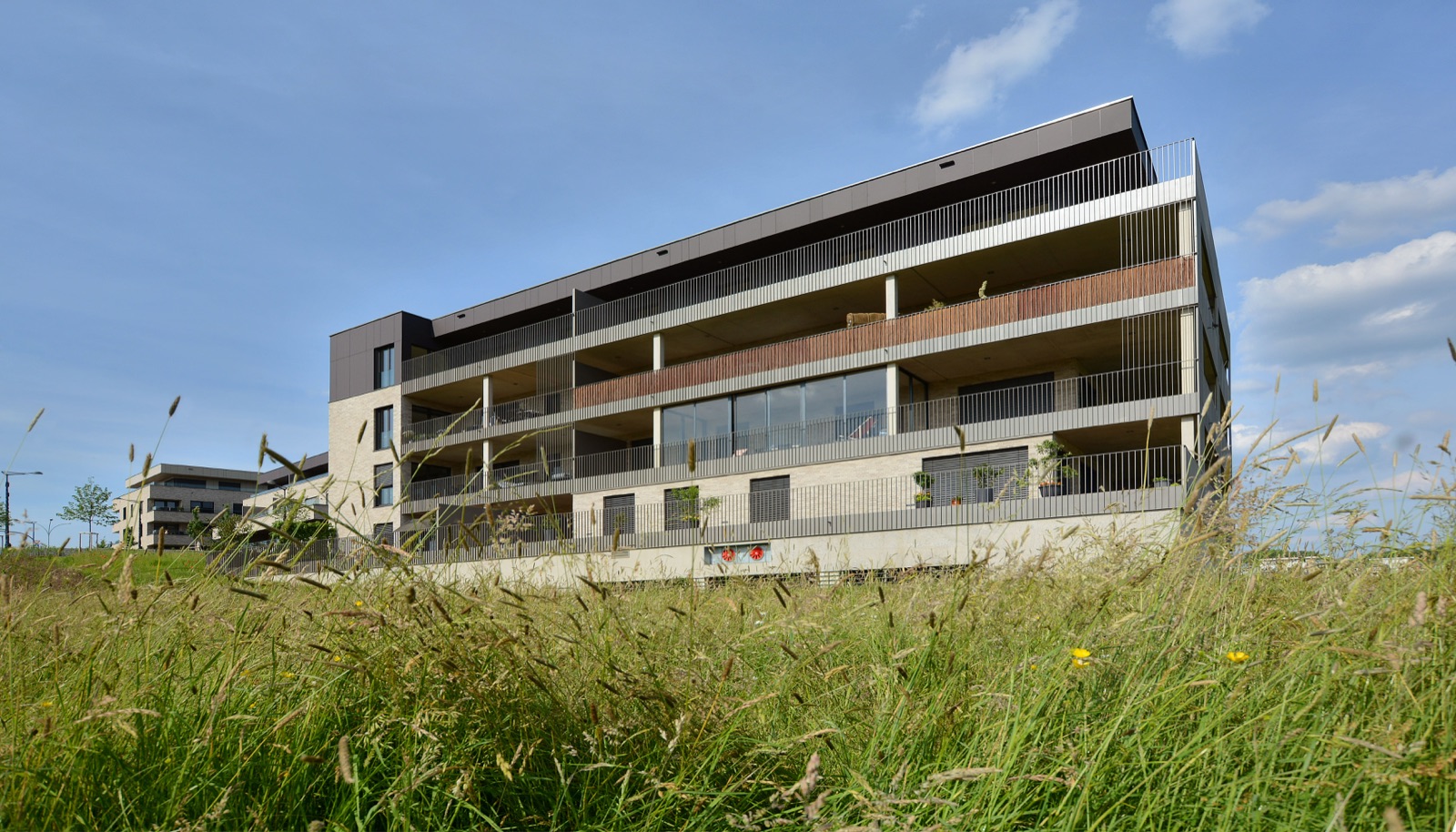 Les Allées Vertes apartment building seen across the meadow